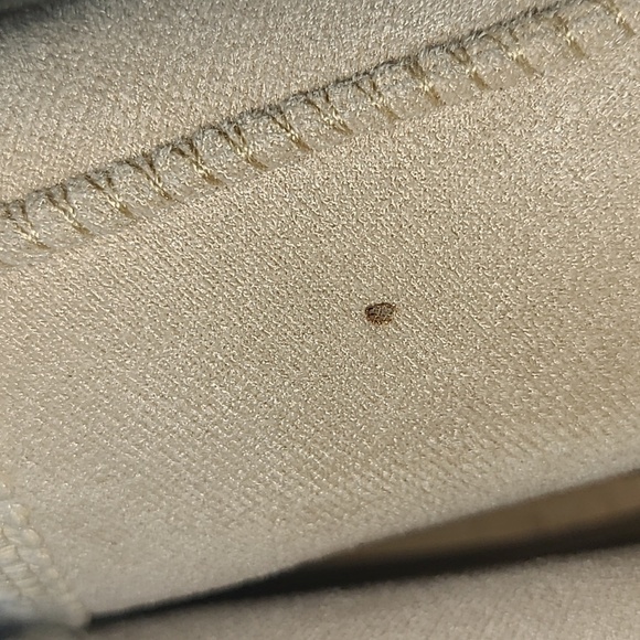 Elegant Tan Women's Slip-On Slippers - Picture 5 of 5